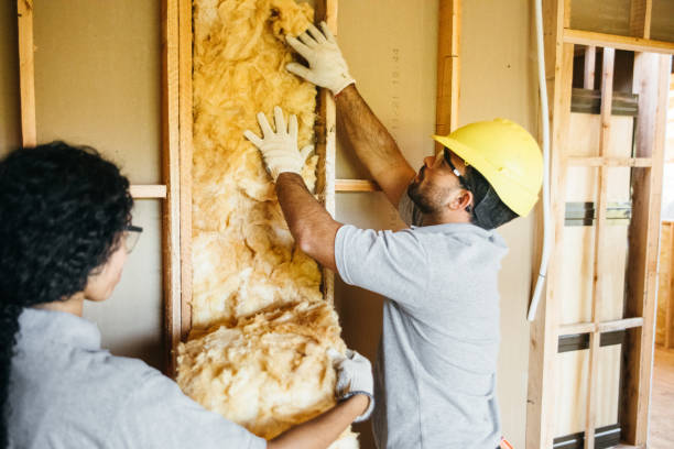 Professional Insulation Services in Wyndham, VA